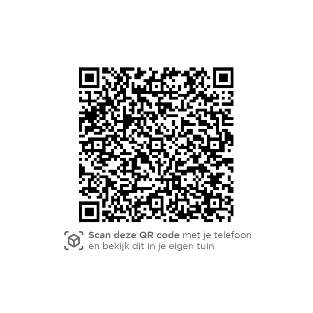 4 Seasons Outdoor Parasol Siesta Premium 300 x 300 cm mittelgrau