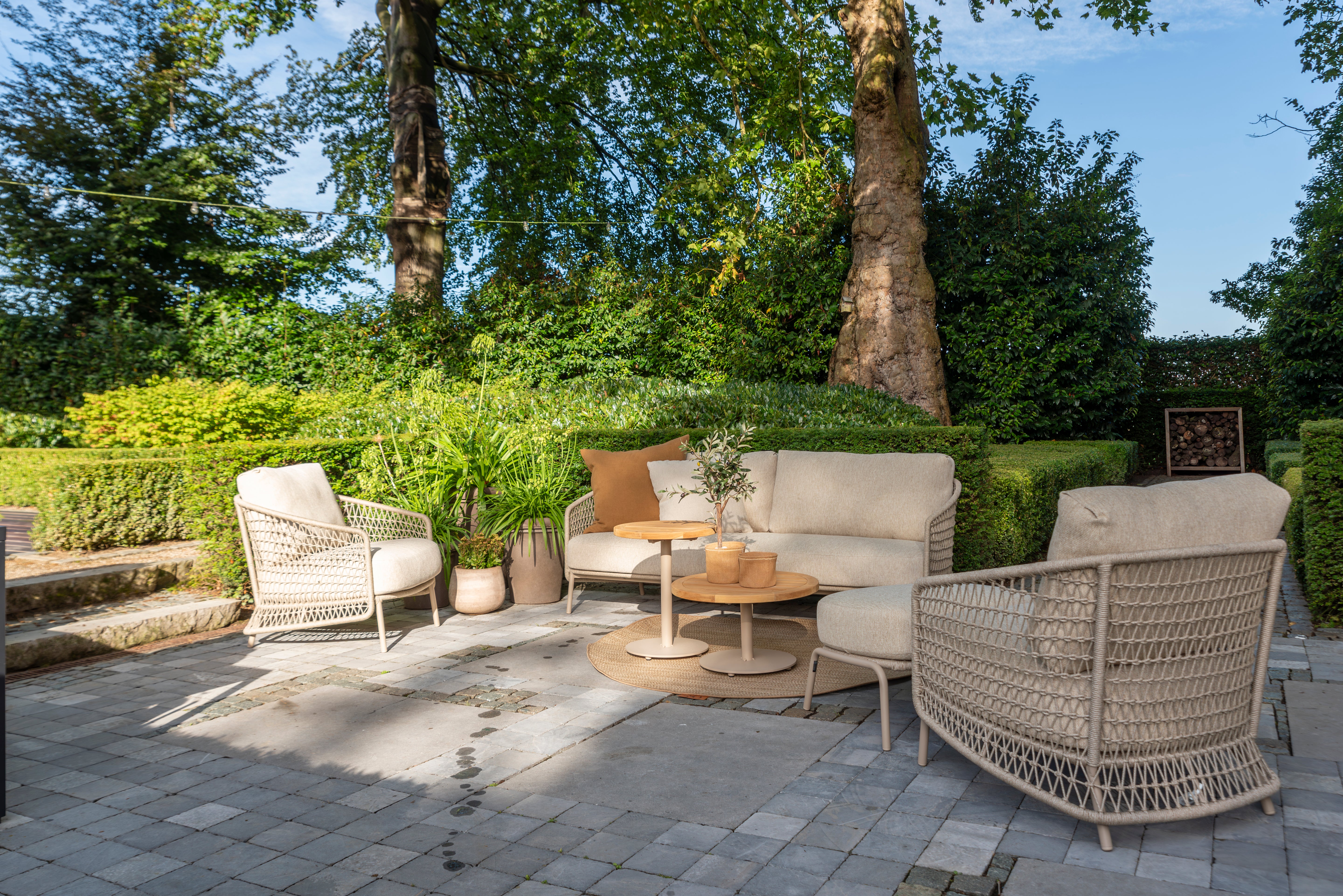 Puccini dining set latte with Estate mango shape dining table latte 240 x 150 cm - Lifestyle