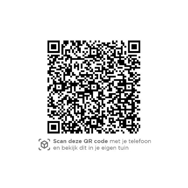 4 Seasons Outdoor Meteoro Lounge Set + Mitte + Kosmische Kaffeetische HPL