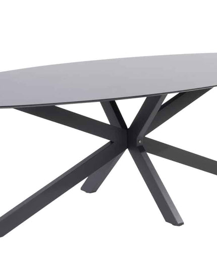 4 Seasons Outdoor Veneto Dining Anthrazit + Privada Tisch Oval HPL Blatt 240 cm