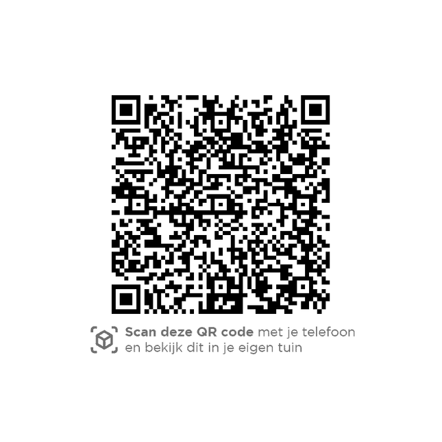 4 Seasons Outdoor Orient Lounge Set + Mitte + Ambassador High Couchtisch