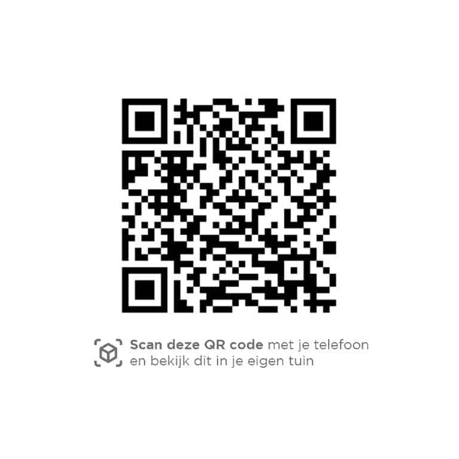 4 Seasons Outdoor Calpi Lounge Stuhl inkl. 2 Kissen