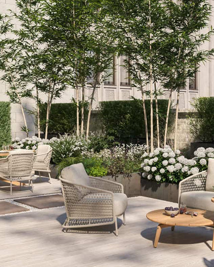 4 Seasons Outdoor Puccini Dining + Taste 4SO Prado Teak Tisch Oval 240 cm