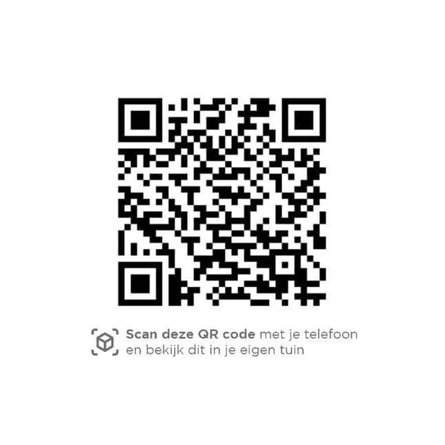 4 Seasons Outdoor Puccini Lounge Stuhl inkl. 2 Kissen